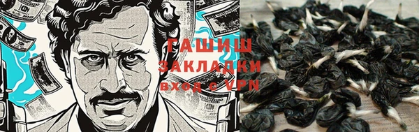 a pvp Пересвет