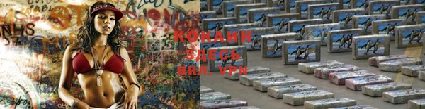 a pvp Пересвет
