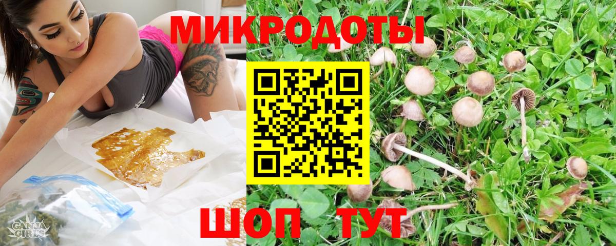 Галлюциногенные грибы мицелий  наркотики  Усть-Лабинск  Псилоцибиновые грибы Psilocybe 