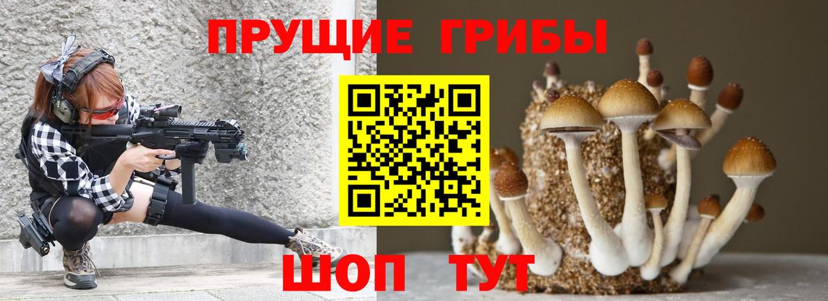 Галлюциногенные грибы мицелий Усть-Лабинск